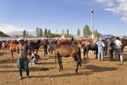 Marché aux bestiaux