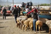 Marché aux bestiaux