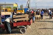 Marché aux bestiaux