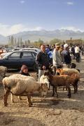Marché aux bestiaux