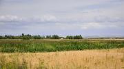 Enfin un peu de verdure à l'extrémité Est du lac