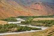 La rivière Naryn