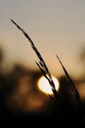 Coucher de soleil