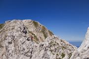 Sur l'arête des bouquetins