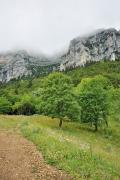 Au pied du cirque de l'Aulp du Seuil