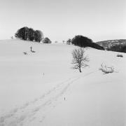 Plateau du Retord