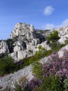 Paysage des calanques