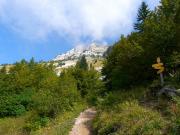 Chamechaude vue de la cabane du Bachasson