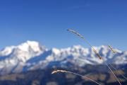 Mont Blanc