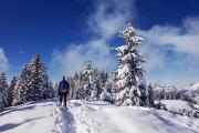 Sur les crêtes