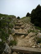 Quelques mètres avant le col de l'Alpe