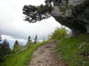 Sentier sour les rochers de Belles Ombres