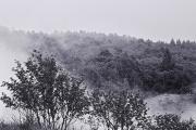 Les Bauges dans la brume