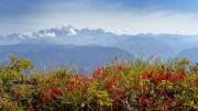 Mont Blanc et couleurs d'automne