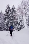 Trace physique dans la neige fraîche !