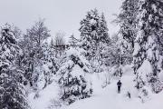 Croûler sous la neige