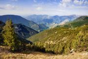 En montant au col de Veillos