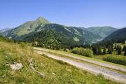 Au niveau du col de Bassachaux