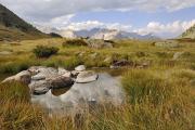 Près du lac de Cristol