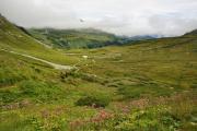 Montée au col du Bonhomme