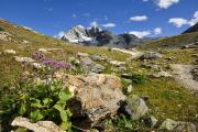 Vanoise