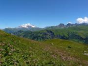Le Mont Blanc et les alpages