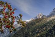 Aiguille Verte