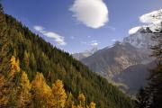 Couleurs d'autmone sur les hauteurs de Chamonix