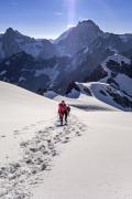 Cordées sur le glacier des Rouies