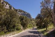 Route vers l'abbaye de Sénanque