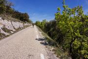 Montée au col de la Ligne