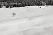 Plateau de la Molière