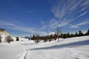 Plateau de la Molière