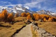 Chemin du Mont Pourri