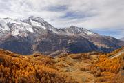 Automne en Haute-Tarentaise