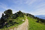 Sentier sur le plateau près du sommet