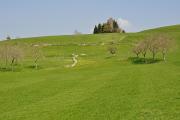 Prairie près du départ