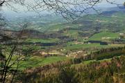 Première vue à travers la forêt