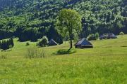 Chalets de Mariet-dessous