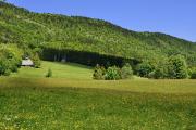 Chalet de Mariet-dessus