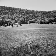 Chalets de Mariet-dessous