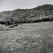 Chalets de Mariet-dessous