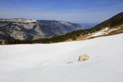 Vue sur le Vercors et le plateau de la Molière