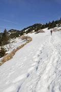 Montée dans la neige