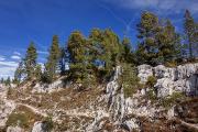 Sentier dans les lapiaz