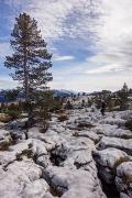 Plateau de lapiaz