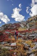 Ascension dans les couleurs d'automne