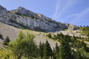 Vue sur le pierrier en sortant de la forêt