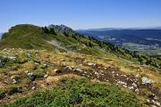 Sentier sous le sommet