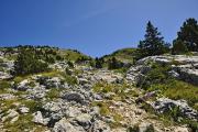 Le sentier de la descente